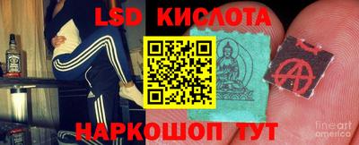 PSILOCYBIN Краснознаменск