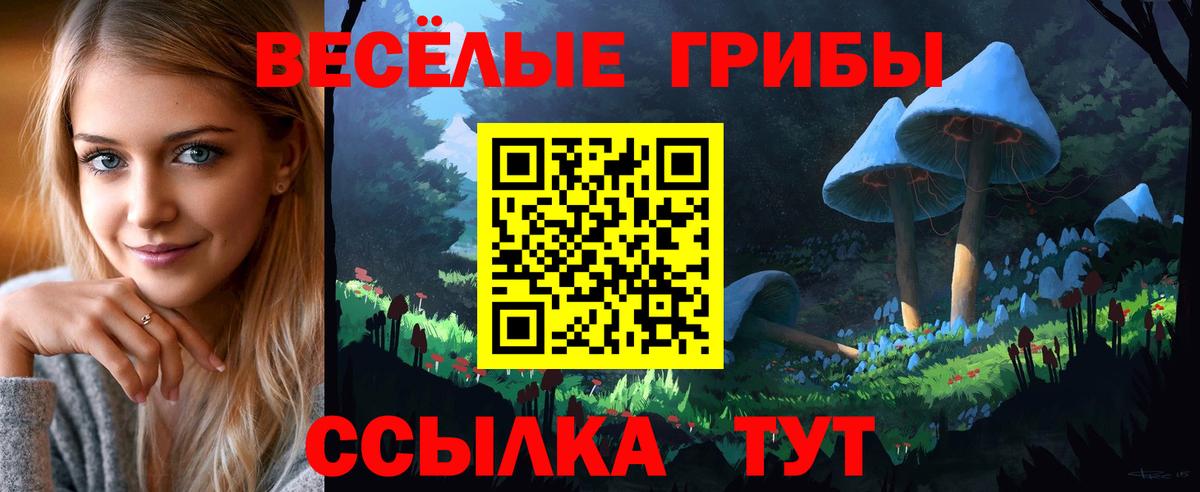 Янаул  Галлюциногенные грибы Cubensis  Вход с VPN 
